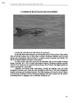 E-book 'Тайный остров', 728.