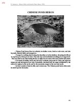 E-book 'Тайный остров', 729.