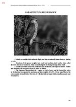 E-book 'Тайный остров', 733.