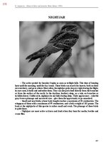 E-book 'Тайный остров', 734.