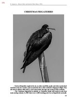 E-book 'Тайный остров', 735.