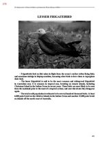 E-book 'Тайный остров', 738.