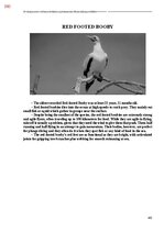 E-book 'Тайный остров', 739.