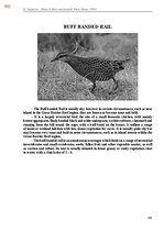 E-book 'Тайный остров', 741.