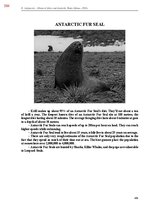 E-book 'Тайный остров', 743.