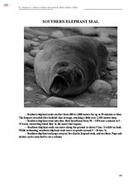 E-book 'Тайный остров', 744.