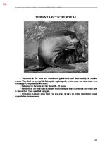 E-book 'Тайный остров', 745.