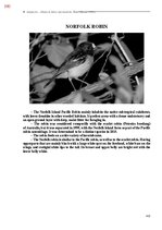 E-book 'Тайный остров', 749.