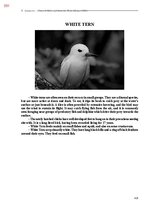E-book 'Тайный остров', 750.