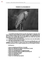 E-book 'Тайный остров', 751.