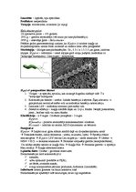 Summaries, Notes 'Mikrobioloģija. Kampilobaktērijas un helikobaktērijas', 2.