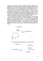 Research Papers 'Tumšā alus ražošanas procesi un iekārtas', 51.