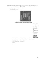 Research Papers 'Tumšā alus ražošanas procesi un iekārtas', 67.