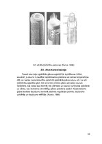 Research Papers 'Tumšā alus ražošanas procesi un iekārtas', 68.