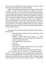 Research Papers 'Starptautiskā tirdzniecība Baltkrievijā', 17.