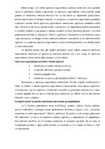 Practice Reports 'Iepirkumu organizēšana uzņēmumā SIA "Baltrotors"', 20.