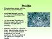 Presentations 'Slimību izraisītāji - baktērijas', 14.