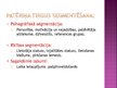 Presentations 'Tirgus segmentācija', 9.