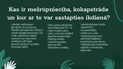 Presentations 'Mežrūpniecība un kokapstrāde', 3.