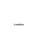 Summaries, Notes 'Lamblioze', 1.