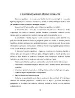 Practice Reports 'Uzņēmuma "Key & Lock"  grāmatvedības politikas un darbības raksturojums', 15.