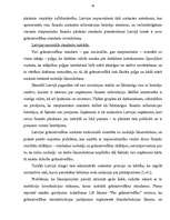 Research Papers 'Grāmatvedības standarti Latvijas Republikā', 16.
