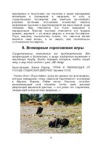 E-book 'Лабиринты интеллекта', 37.