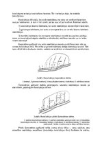 Research Papers 'Pārbaudes darbs "Kanalizācija un ūdensapgāde"', 10.