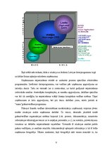Research Papers 'Grāmatvedības darba datorizācijasproblēmas un to risinājumi', 9.