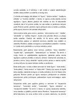 Essays 'Jurisprudence – glosārijs un tiesību terminoloģijas nozīme', 5.