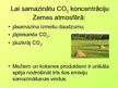 Presentations 'Ogļskābās gāzes ietekme uz vidi', 7.