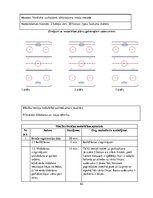 Practice Reports 'Hokeja trenera mācību prakses pārskats', 62.