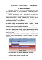 Research Papers 'Uzņēmuma "Aqua - Brambis" SIA maksātspējas analīze un prognozēšana', 6.