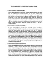 Essays 'Mirdzas Bendrupes darba "Sveša vaina" fragmenta analīze', 1.