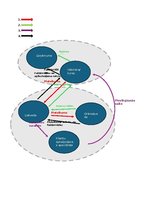 Samples 'Informācijas plūsmas un datu plūsmas diagrammas', 2.