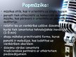 Presentations 'Popmūzika. Grupa "Musiqq"', 2.