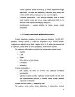 Term Papers 'Projekts: Kāzu aģentūras SIA "XX” izveide', 53.