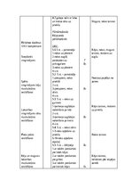 Summaries, Notes '4. Klases sporta stundas konspekts', 3.