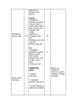 Summaries, Notes '4. Klases sporta stundas konspekts', 5.