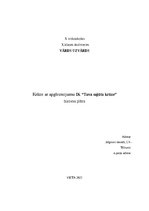 Business Plans 'Krūze ar apgleznojumu IK “Tava sajūtu krūze”', 1.