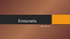 Presentations 'Eirotunelis', 1.
