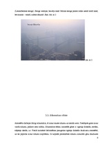Research Papers 'Gaisa piesārņojums', 9.