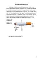 Research Papers 'Smēķēšana pusaudžu vidū', 5.