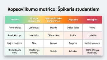 Presentations 'Tirgus struktūras mikroekonomikā un makroekonomikā', 10.