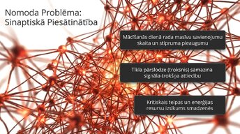 Presentations 'Neirobioloģija: miegs, atmiņa un sinaptiskā plasticitāte', 7.