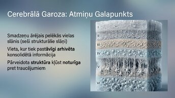 Presentations 'Neirobioloģija: miegs, atmiņa un sinaptiskā plasticitāte', 11.