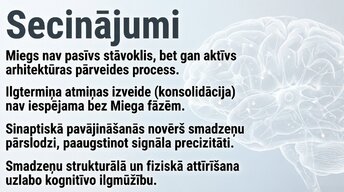 Presentations 'Neirobioloģija: miegs, atmiņa un sinaptiskā plasticitāte', 14.