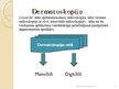 Presentations 'Melanomas diagnostika un terapija dermatologa kompetencē', 6.