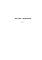 Research Papers 'Melngalvju nams - Rīgas simbols', 1.