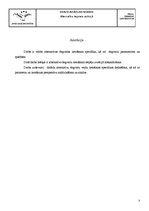 Research Papers 'Альтернативное топливо в авиации', 3.